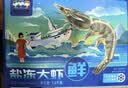 三只海豚黑虎虾特大号 净重2斤 20/30规格 烧烤大虾 生鲜虾类 年货送礼 实拍图