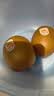 佳沛（zespri）金奇异果25-27粒原箱特大果124-146g猕猴桃水果礼盒 实拍图