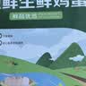 京鲜生180°安心鲜鸡蛋30枚 健康轻食 礼盒 1.5kg/盒 源头直发 实拍图