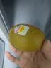 佳沛（zespri）新西兰金奇异果10个装单果重103-114g猕猴桃水果礼盒 实拍图
