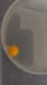 绿侬珠宝  鸡油黄老蜜蜡散珠圆珠子手串手链隔珠星月菩提DIY配珠 直径约10mm/颗 【满蜜鸡油黄】 实拍图