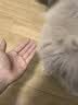 普安特宠物猫咪驱虫药驱虫体内外同驱跳蚤犬虱非泼罗尼滴剂爱滴克 实拍图