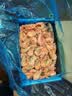 美加佳加拿大海藻头熟冻北极甜虾净重3斤 规格90/120  送礼 火锅聚餐 实拍图
