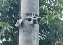 镭威视4g太阳能摄像头终身免流量AI室外免插电无电无网手机远程户外监控器家用360度无死角高清全景夜视 实拍图