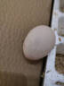 白荡里农家散养土鸡蛋正宗新鲜营养柴鸡蛋草鸡蛋笨鸡蛋特产单枚40g-45g 30枚实惠装 实拍图