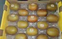 佳沛（zespri）新西兰金奇异果12粒特大果124-146g猕猴桃水果礼盒 实拍图