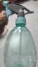 喷壶浇花浇水喷雾器气压式喷水壶家用园艺养花500ml 南瓜喷壶透蓝【1个装】 实拍图