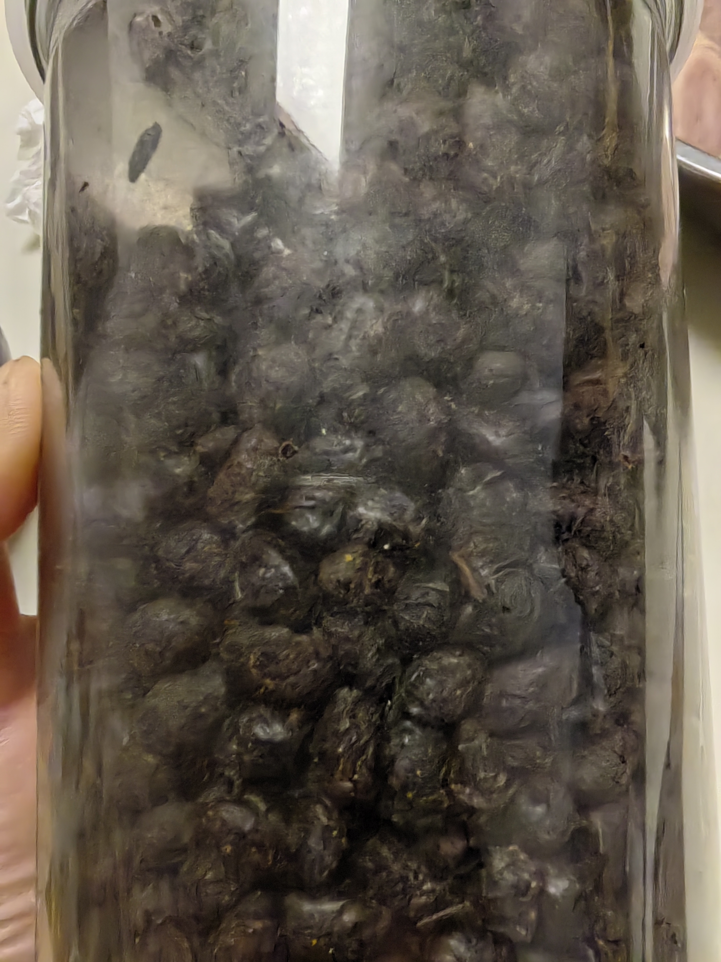 阳帆阳江豆豉 姜豉原味黑豆豉干颗粒0添加调料 炒菜排骨蒸鱼 罐装350g 实拍图