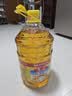 鲁花 食用油 物理压榨 葵花仁油6.18L  实拍图
