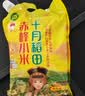 十月稻田 赤峰小米 5斤 内蒙古敖汉 小米黄小米 杂粮米 早餐小米粥 实拍图