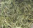 陈一凡 贵州雀舌 2026新茶特级明前茶叶雀舌嫩芽春茶自饮招待袋装250g 实拍图