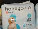 HONEYCARE好命家狗狗纸尿裤公狗尿不湿生理裤S适用体重4-10kg/12片装 实拍图