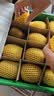 佳沛（zespri）新西兰金奇异果10粒巨大果146-175g猕猴桃水果礼盒 实拍图