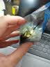 三只松鼠每日坚果750g30袋独立包装腰果开心果干坚果礼盒礼包团购送礼出游 实拍图