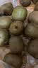 佳沛（zespri）新西兰金奇异果10粒巨大果146-175g猕猴桃水果礼盒 实拍图