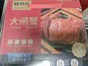 【活蟹】鲜京采鲜活大闸蟹 全母蟹4.0两4对8只 去绳足重蟹类海产螃蟹现货礼盒 实拍图