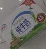 伊利严选牧场纯牛奶 250ml*16盒3.3g优质乳蛋白全脂牛奶 礼盒装 实拍图