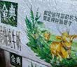 伊利金典双限定娟姗纯牛奶锡林郭勒250ml*12礼盒装3.8g蛋白质 实拍图
