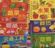 阳光宝贝 好宝宝学习起步书（套装全6册）幼儿启蒙认知早教撕不烂卡片书水果蔬菜颜色动物 暑假作业 一升二暑假衔接 小升初暑假衔接  实拍图