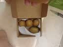 佳沛（zespri）新西兰金奇异果猕猴桃 5粒装 单果约88-103g 水果源头直发 实拍图