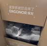 Ergonor保友金豪E2 Pro旗舰爆款人体工学椅 电脑椅办公椅电竞椅可躺椅子 黑色(全椅云感科技)+躺舒宝 整椅发货 送货上门 实拍图