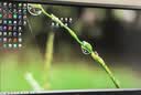 AOC 27英寸2K 260Hz FastIPS快速液晶 0.3ms HDR400 硬件低蓝光 MBR FPS游戏电竞显示器 宙斯盾Q27G4Z 实拍图