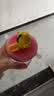 babycare恐龙吸管水杯儿童吸管杯大宝宝直饮幼儿园小学水壶上学户外运动粉 实拍图