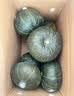 京鲜生 山东贝贝南瓜 净9斤囤货装 (软糯瓜)单果150g+ 粉糯甜源头直发 实拍图
