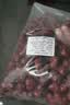 康田汇 正宗新疆灰枣新疆灰枣特级干果大枣吊干枣子红枣未清洗枣特产 精选2.5斤【真新疆灰枣 一级甜】净2斤 新鲜 实拍图