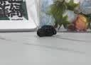 击音【180小时超长续航】6.0蓝牙耳机入耳无线音乐运动游戏通话降噪豆 高音质大电量适用酷狗华为小米 实拍图
