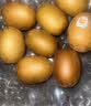 佳沛（zespri）新西兰金奇异果18粒优选果103-124g猕猴桃水果礼盒 实拍图
