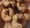 三只松鼠罐装紫皮腰果1000g越南大颗粒每日坚果炒货干果零食团购送礼 实拍图