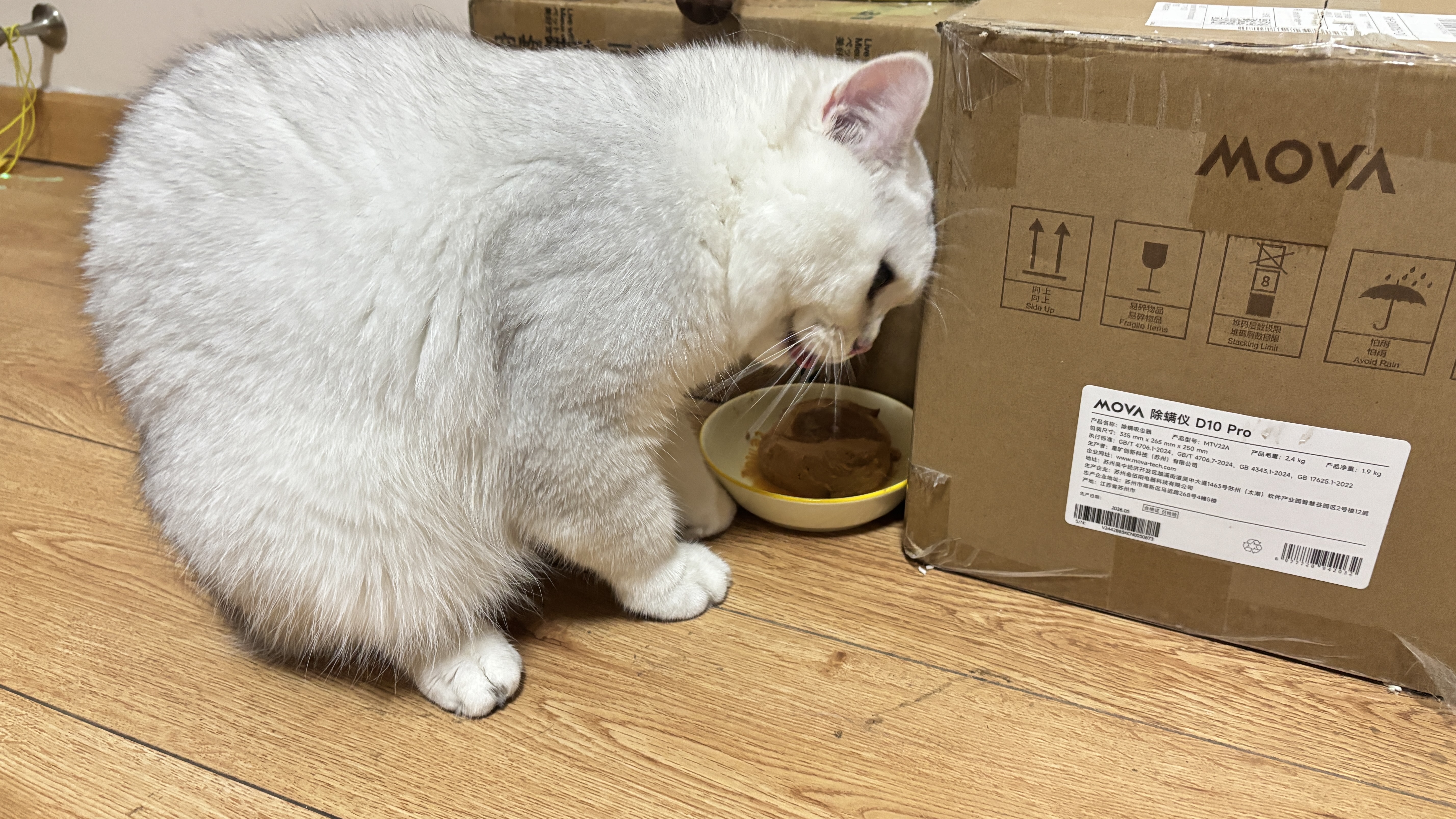 皇家猫粮 幼猫猫粮 幼猫奶糕 K36 通用粮 4-12月 10KG 实拍图