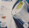 碧然德【李昀锐同款】（BRITA）免安装过滤净水 滤水壶设计师系列 设计师壶Style绿 3.5L 1壶13芯 专家版【爆款囤货装】 实拍图