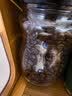 吉意欧GEO醇品经典美式咖啡豆500g阿拉比卡豆中深烘美式醇香黑咖啡  实拍图