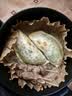西贝莜面村纸皮韭菜盒子560g 8片 馅饼早餐半成品速食空气炸锅开学 实拍图