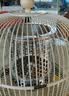 万宝（Wanbao）取暖器小太阳家用鸟笼式烤火炉卧室电热扇节能省电小型电暖器电烤炉速热 奶油色【碳晶盘】无极调温+延长线 实拍图