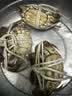 【礼券】姑苏渔歌大闸蟹礼券6888型公4.0两母3.0两4对8只送礼螃蟹卡券海鲜礼盒礼品卡 实拍图