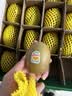 佳沛（zespri）新西兰金奇异果16粒经典果88-103g猕猴桃水果礼盒 实拍图