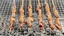宜时代烧烤网长方形圆形烤肉网格加厚烤网家用冷却网烤箱烘焙烧烤工具 食品级烤网70x30cm 实拍图