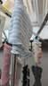 贝博氏babybox婴儿肚围新生儿护肚围宝宝护脐带肚兜棉质S码2条装 实拍图