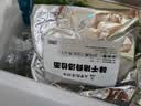 味千拉面猪骨汤拉面305g*3袋6人份含料包火锅面儿童早餐速食家宴 实拍图