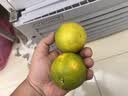 京鲜生 云南锦红冰糖橙/橙子 5斤装 单果130g-170g 生鲜水果礼盒 实拍图