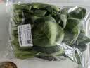 上海青约500g(油菜) 实拍图