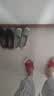 Pansy盼喜女鞋新款通勤单鞋轻便透气一脚蹬休闲鞋秋季40981 黑色 37 实拍图