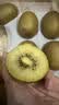 佳沛（zespri）新西兰 金奇异果特大果15粒134-146g猕猴桃水果礼盒 实拍图