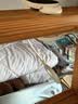 博朗尔台灯护眼学习学生宿舍灯充电夹子小台灯卧室床头灯LED阅读小夜灯 实拍图