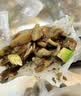 必品阁（bibigo）白菜猪肉王水饺1800g 约72只 早餐半成品速冻饺子蒸饺京东独家 实拍图