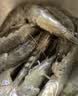 鲜活大海白虾300g（约12-18只） 实拍图