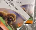 福来恩（FRONTLINE）狗狗进口驱虫药 大型犬去跳蚤蜱虫滴剂 2.68ml*3支装 实拍图